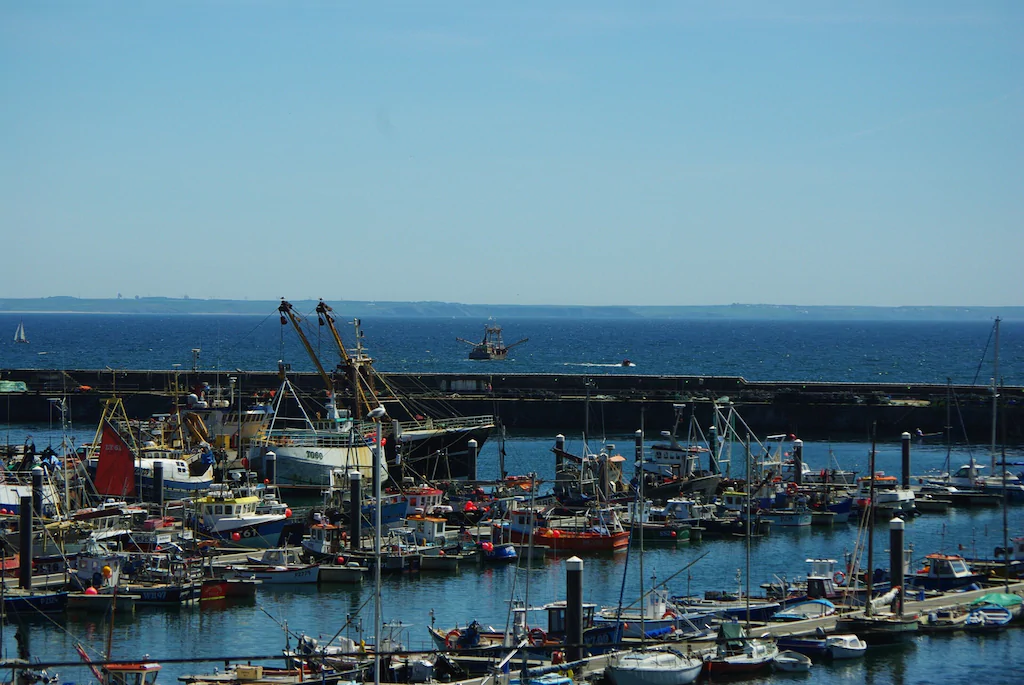 Image of Newlyn Harbour Port View