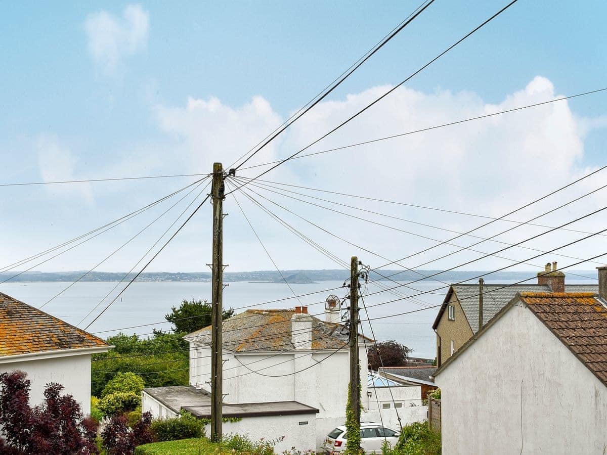 Dolphin Watch Newlyn